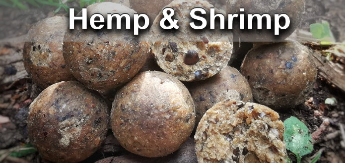 Hemp & Shrimp